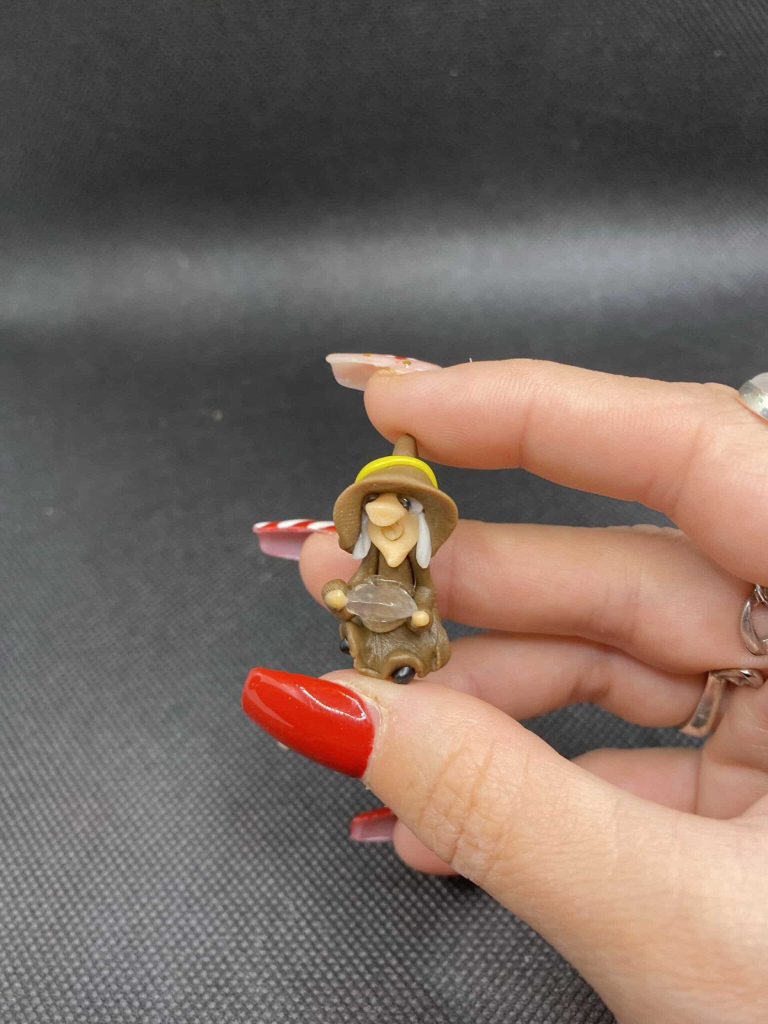 Brujita de la estabilidad