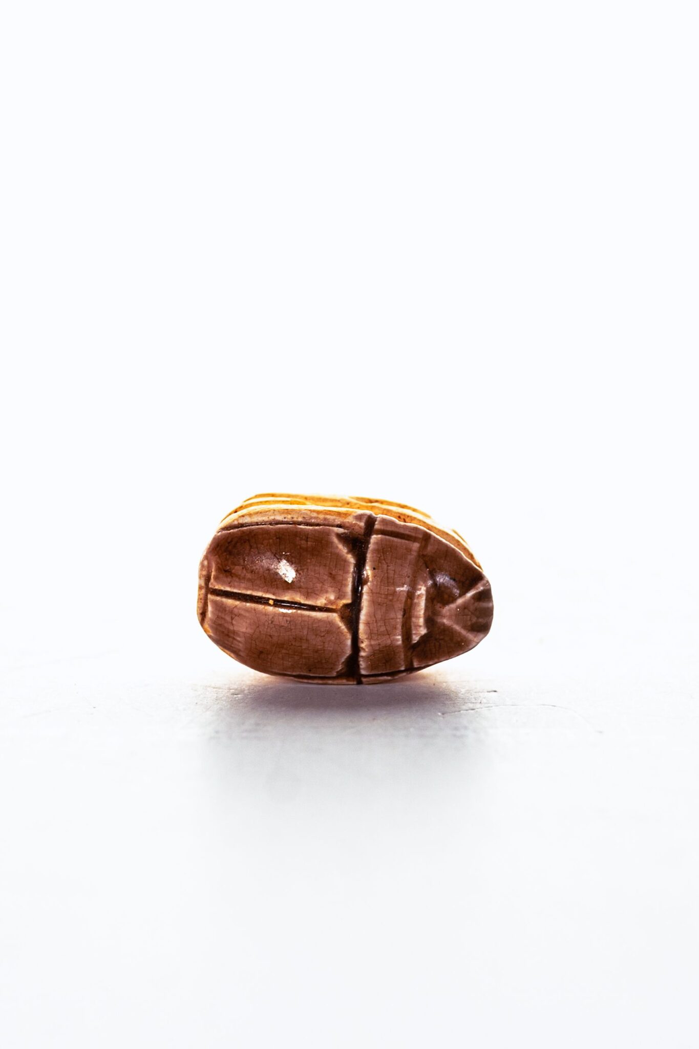 Escarabajo egipcio marrón