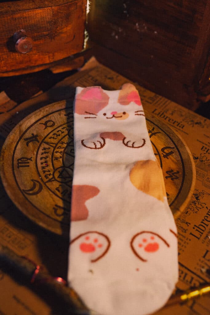 calcetines gato blanco