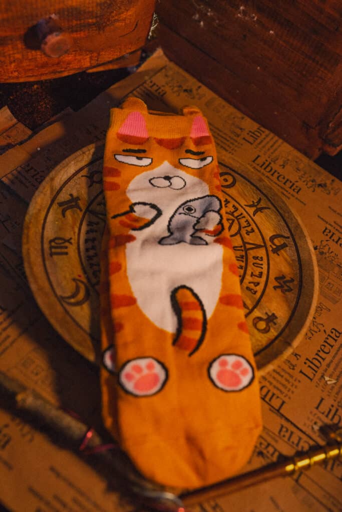 calcetines gato mostaza