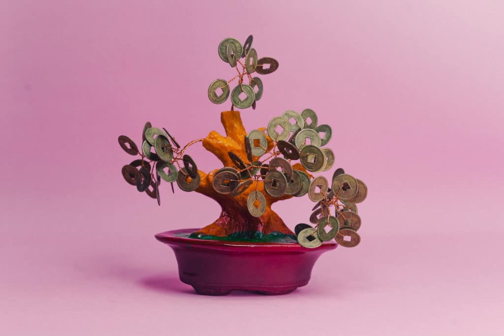 Arbol de la fortuna feng shui