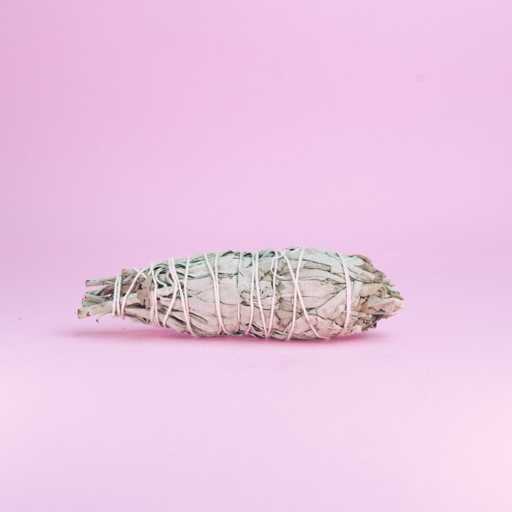 Antorcha de Salvia blanca