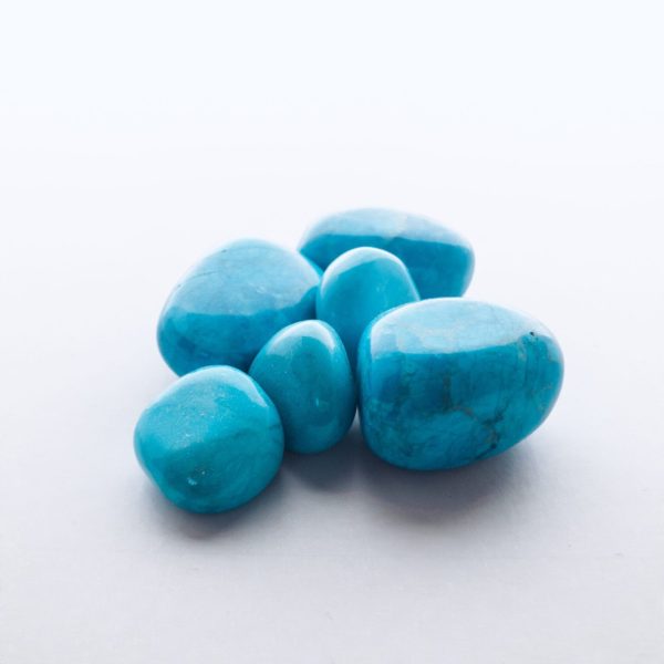 20240624_160200 20240624_160200