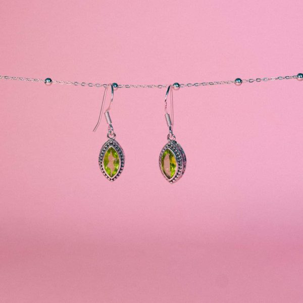 repopopo-1 repopopo-1